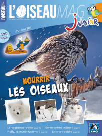 Couverture de l'OISEAU MAG JUNIOR n°5